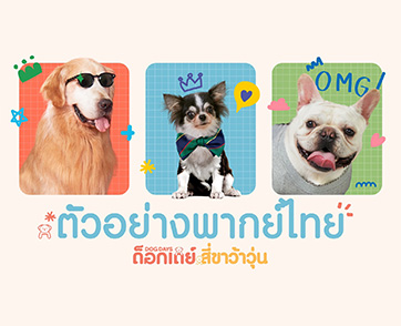 แสบสุดกำลังไปกับ ‘ตัวอย่างฉบับพากย์ไทย’ ที่ยกกำลังความฮาระดับ 7.0 ริกเตอร์ “Dog Days ด็อกเดย์ สี่ขาว้าวุ่น” 22 กุมภาพันธ์นี้ มาว้าวุ่นในโรงภาพยนตร์